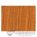 康家系列-3