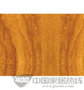 康家系列-9