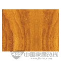 康家系列-9