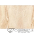 康家系列-10