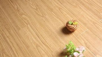 阿尔克 535