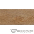 翡翠主义系列N16001