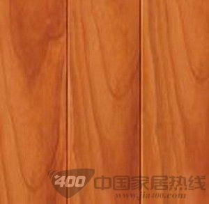 12FK117巴西森林