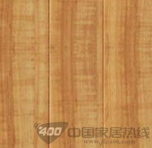 FK118莱茵香柏