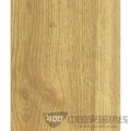 迷你浪琴系列2004