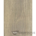迷你浪琴系列2005