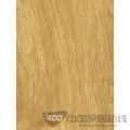 迷你浪琴系列2006