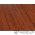 泉榴豆18038