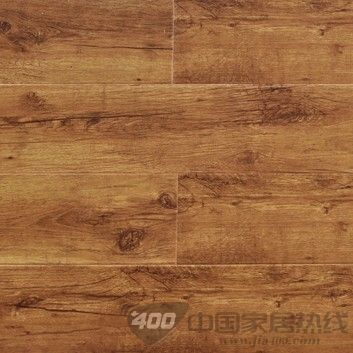 JX008 萨翁林娜