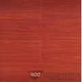 JX010 佛罗伦萨