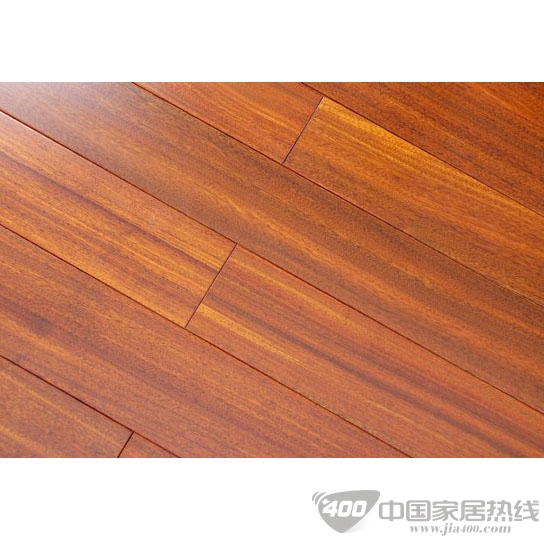 圆盘豆T408