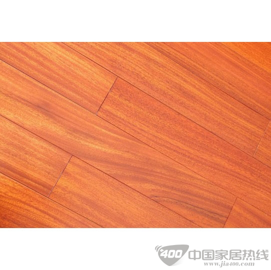 圆盘豆T508
