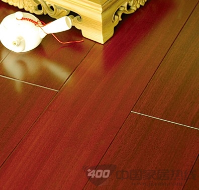圆盘豆1号红色