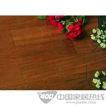 鲍迪豆