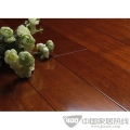 番龙眼AS501