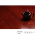 番龙眼AS502