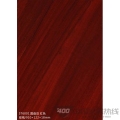 圆盘豆 红色 ST6001 圆盘豆 红色 ST6001