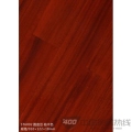圆盘豆 柚木色 ST6002 圆盘豆 柚木色 ST6002