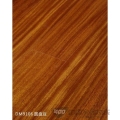 圆盘豆DM9106