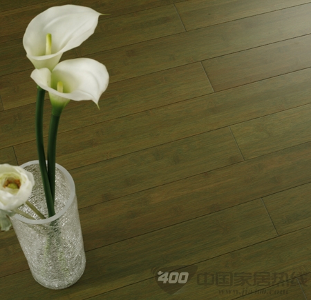 婺源春曲101026
