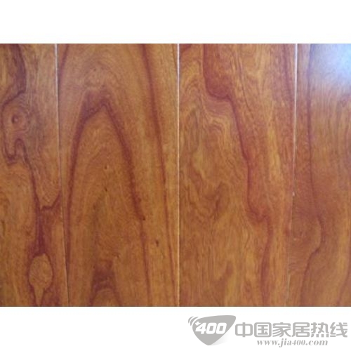 献给爱丽丝