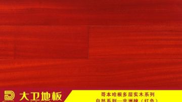 非洲楝红色