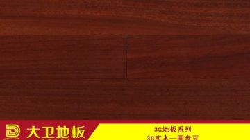 圆盘豆 3G面