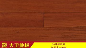柚木 3G面