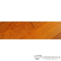 DP051椿木