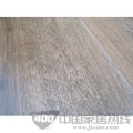 缤纷靓影系列-1
