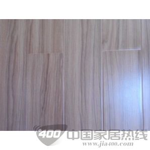缤纷靓影系列-4