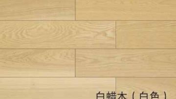 白蜡木（白色）