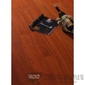 香二翅豆830802