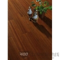 圆盘豆831103