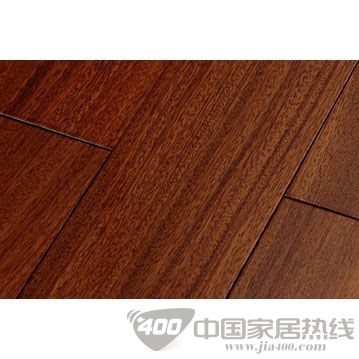 圆盘豆
