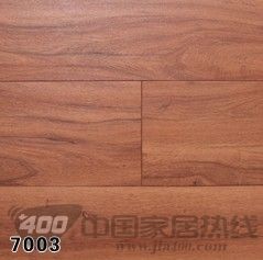 润迪7系列 7003