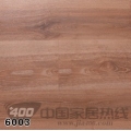 润迪6系列 6003