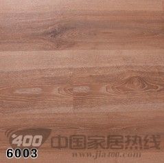 润迪6系列 6003
