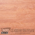 润迪6系列 6002