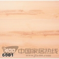 润迪6系列 6001
