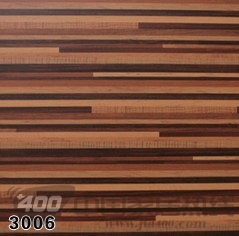润迪3系列 3006