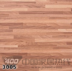 润迪3系列 3005
