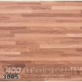 润迪3系列 3005