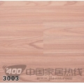 润迪3系列 3003