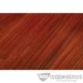 圆盘豆G-89002