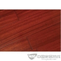圆盘豆G-89003