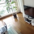 贝尔地板产品推荐-实木多层地板哥伦布发现系列-巴拿马金橡