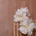 菲林格尔地板产品推荐-强化X系列058-美洲橡木