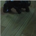 安心地板产品推荐-实木地板-钛金超耐磨系列-玉檀香