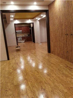乐得仕软木地板